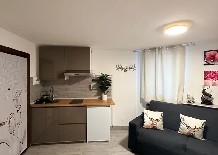 Apartament Orchidea